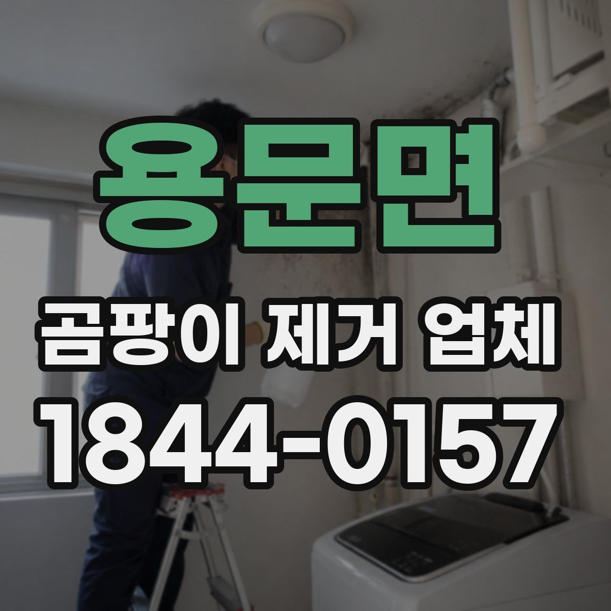 용문면 곰팡이 제거 업체