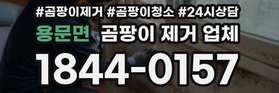 용문면 곰팡이 제거 업체