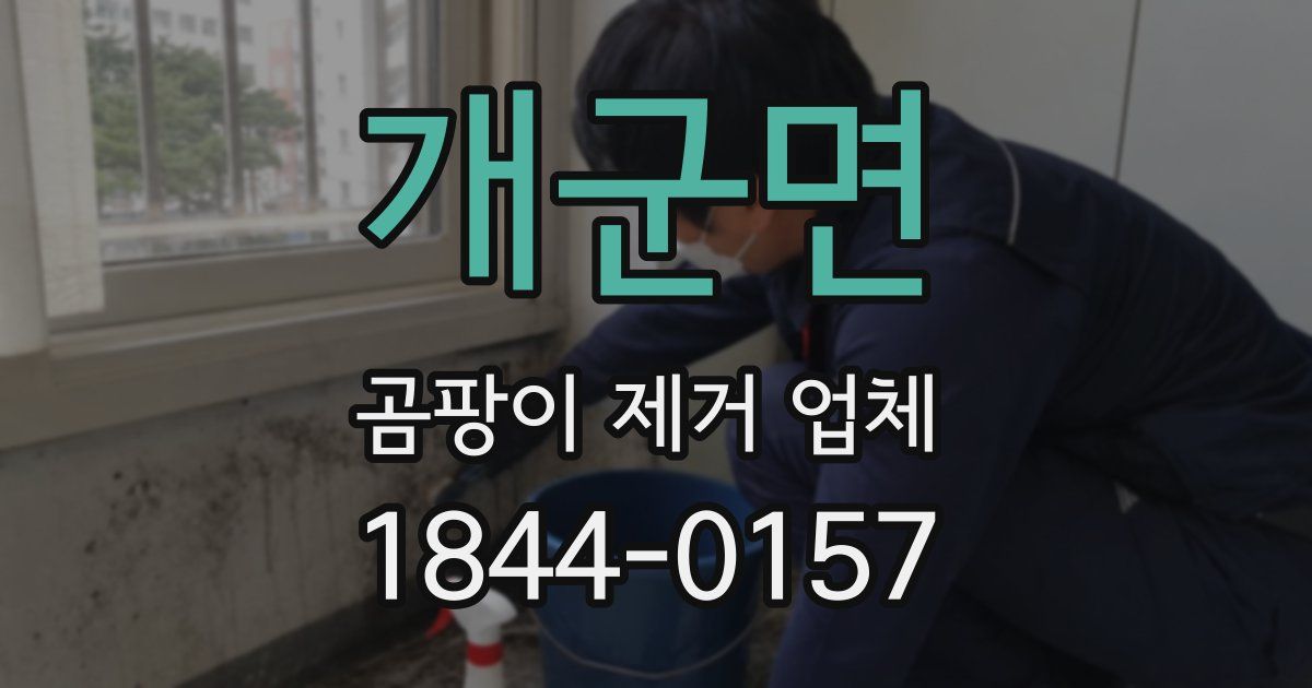개군면 곰팡이 제거 업체