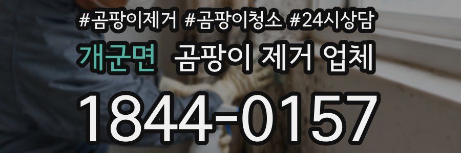 개군면 곰팡이 제거 업체