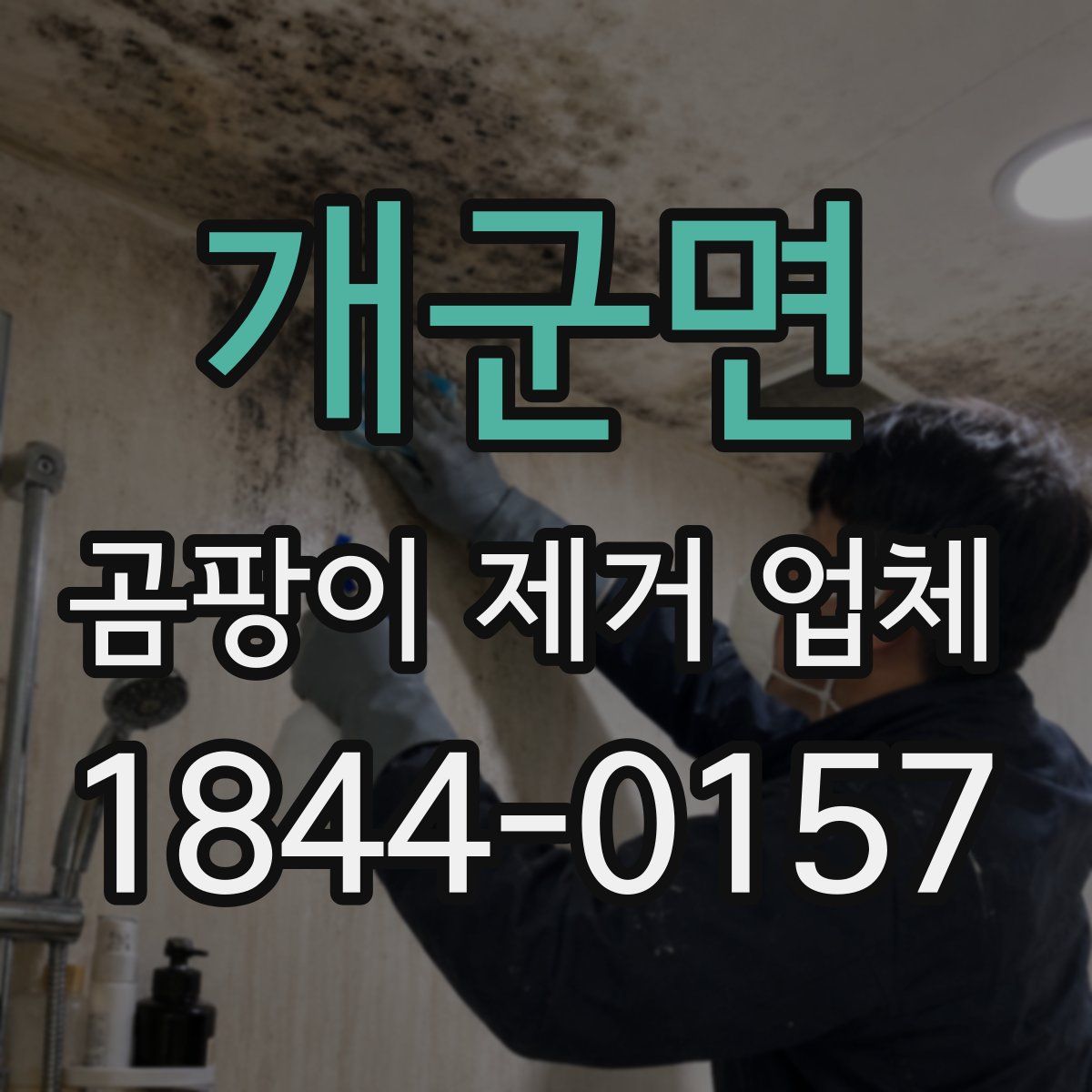 개군면 곰팡이 제거 업체