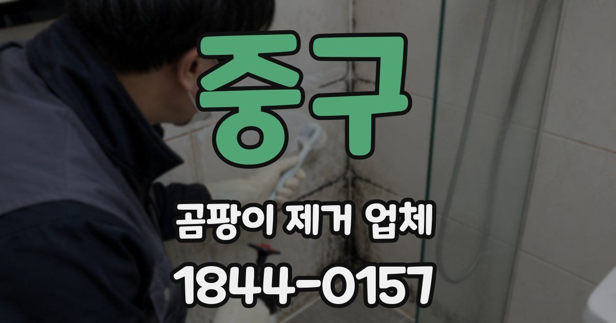 중구 곰팡이 제거 업체