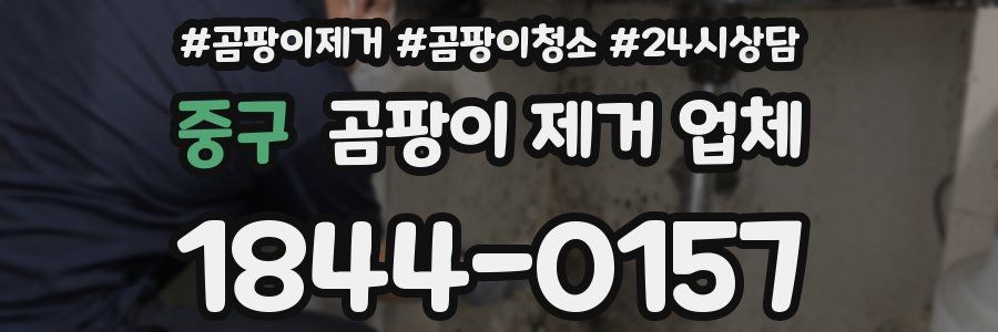 중구 곰팡이 제거 업체