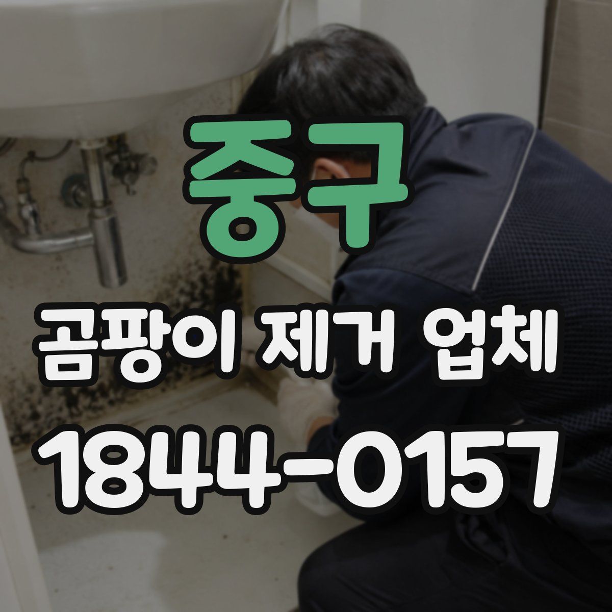 중구 곰팡이 제거 업체