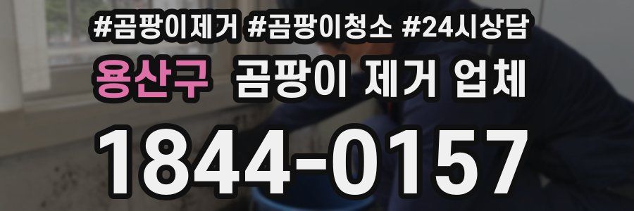 용산구 곰팡이 제거 업체