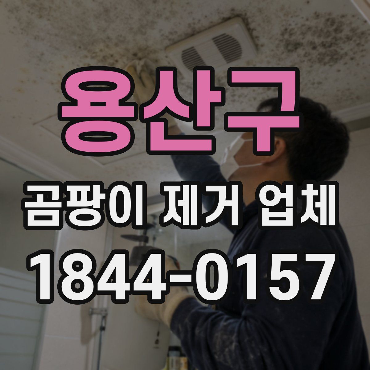 용산구 곰팡이 제거 업체