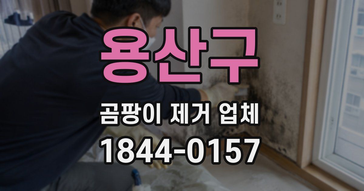 용산구 곰팡이 제거 업체