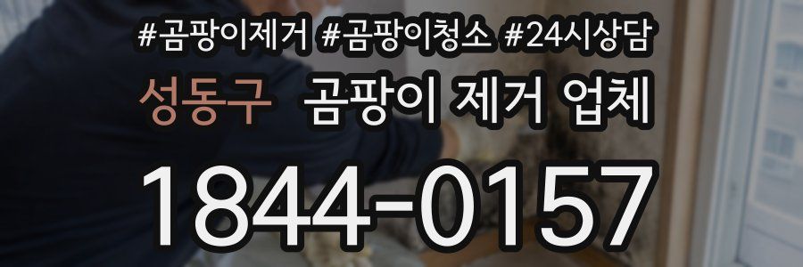 성동구 곰팡이 제거 업체