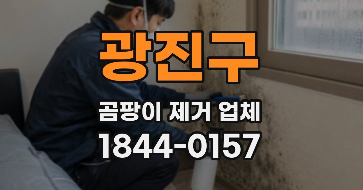 광진구 곰팡이 제거 업체