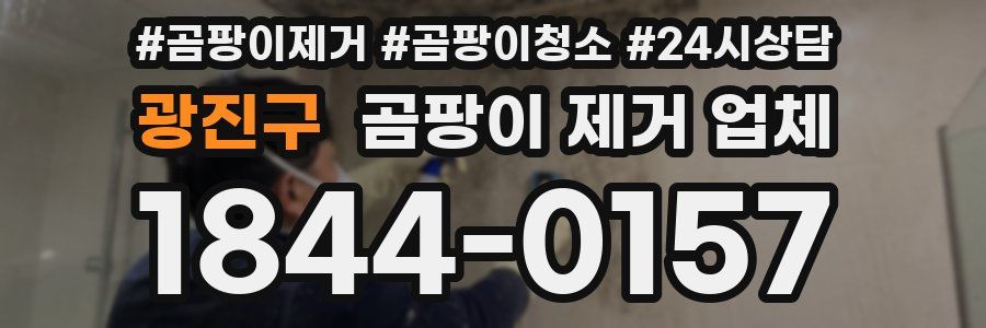 광진구 곰팡이 제거 업체