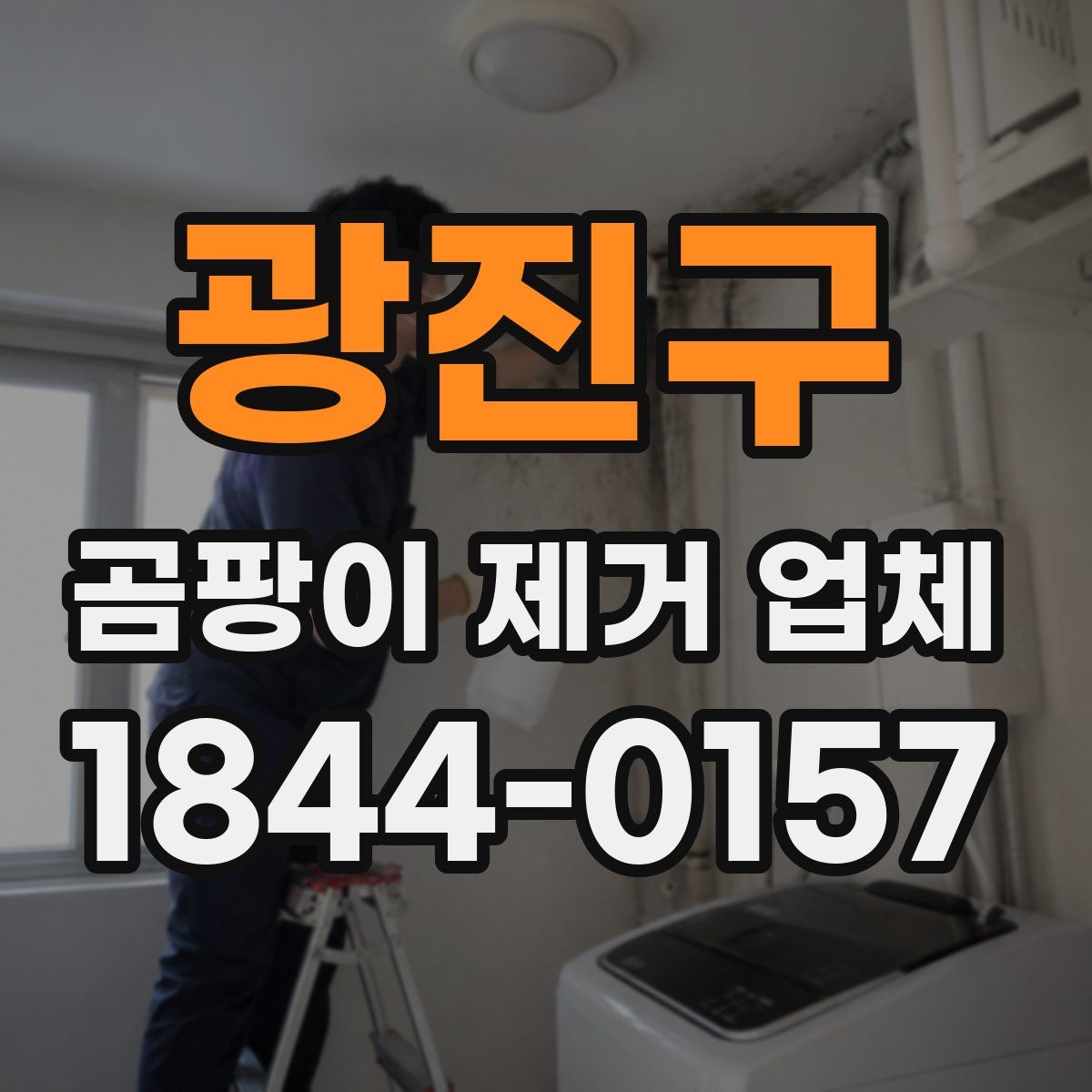 광진구 곰팡이 제거 업체