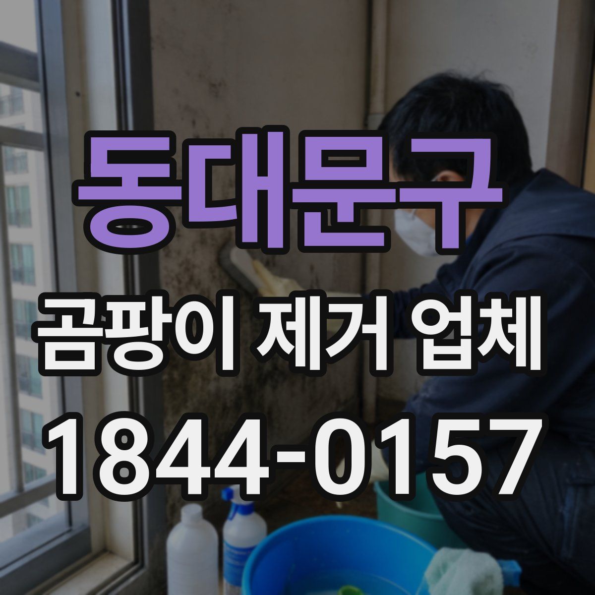 동대문구 곰팡이 제거 업체