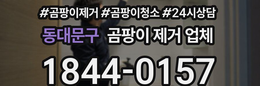 동대문구 곰팡이 제거 업체