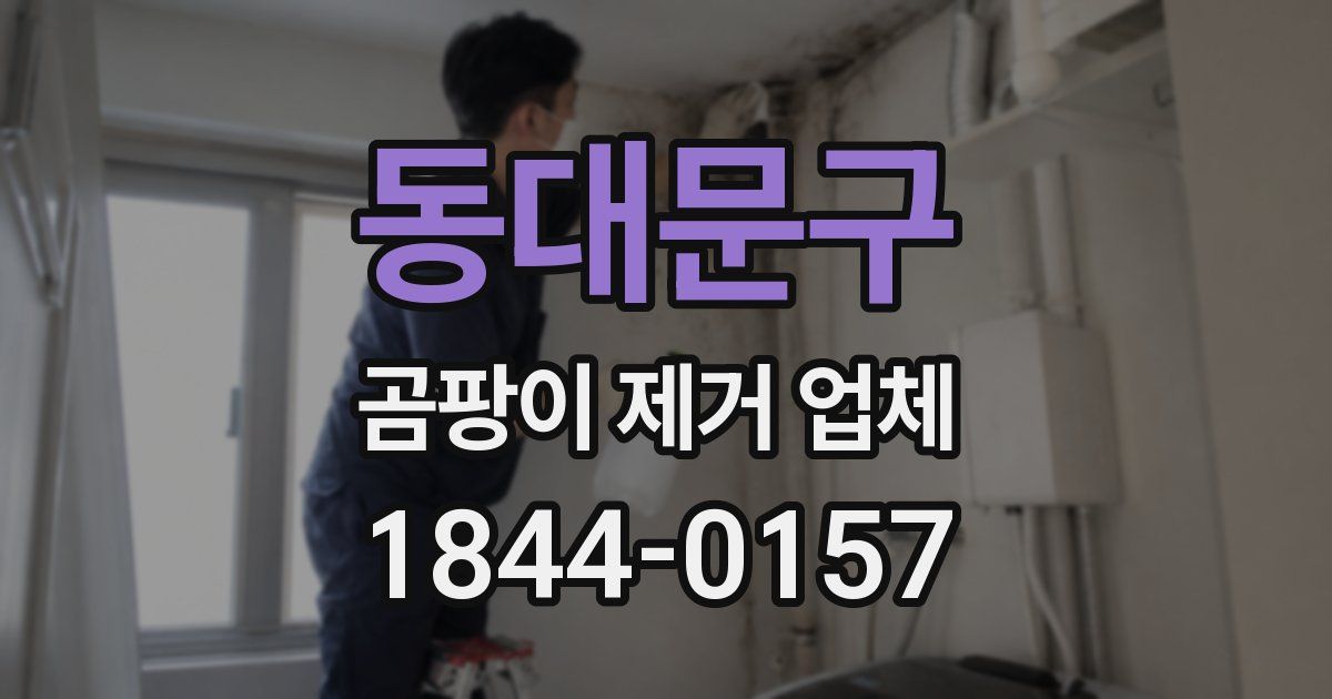 동대문구 곰팡이 제거 업체