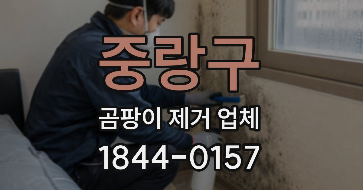 중랑구 곰팡이 제거 업체