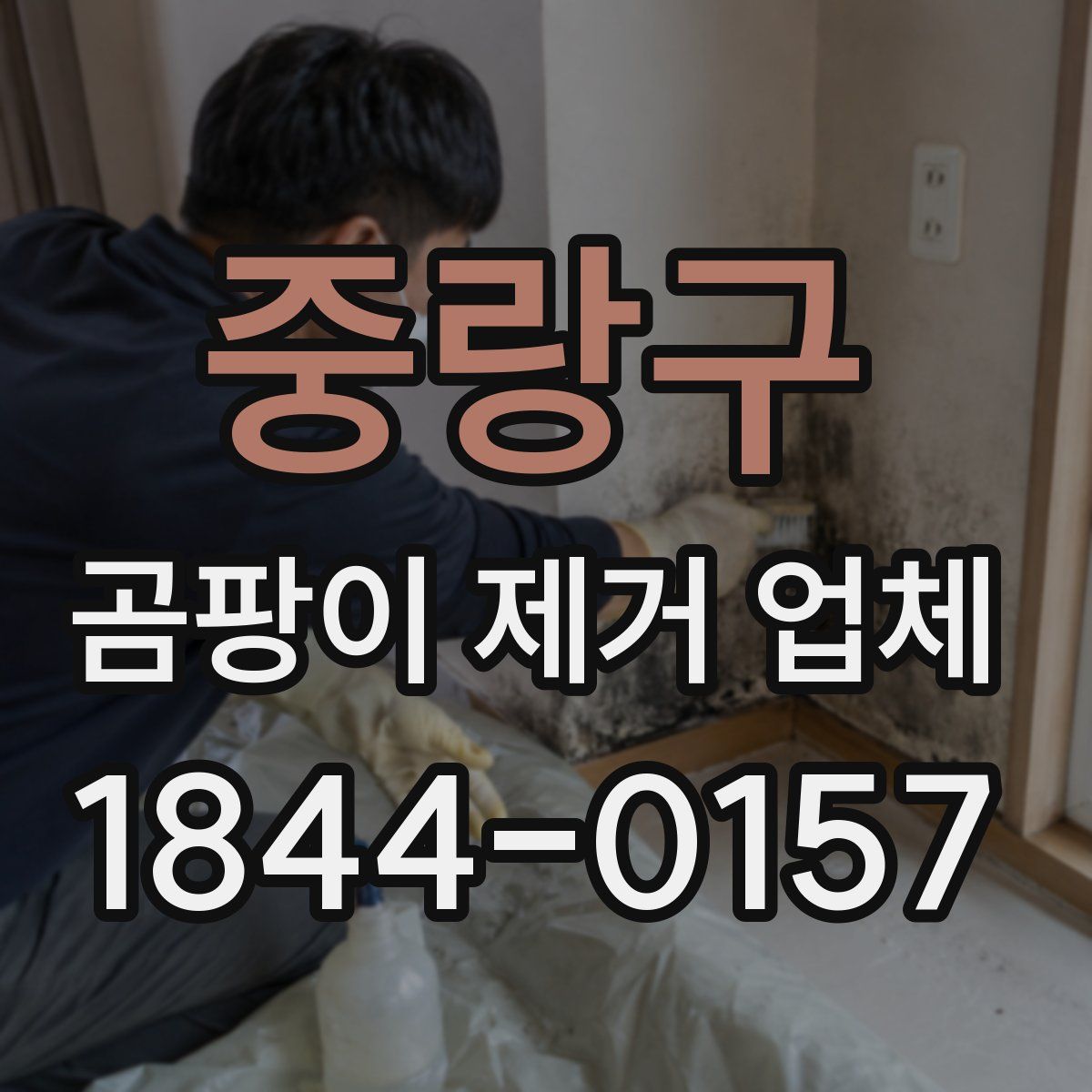 중랑구 곰팡이 제거 업체