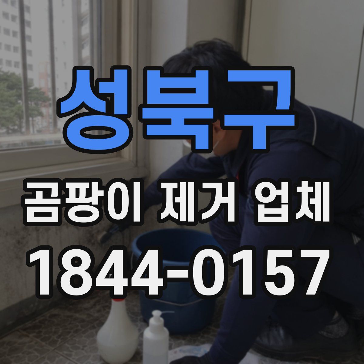 성북구 곰팡이 제거 업체