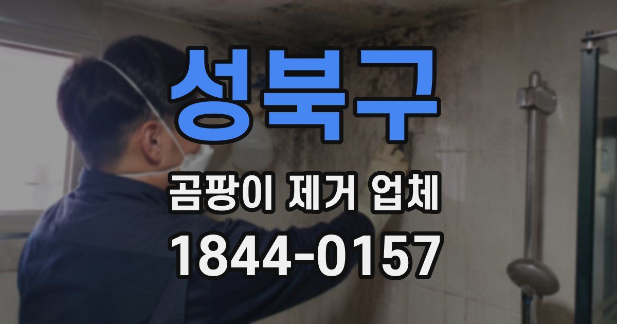 성북구 곰팡이 제거 업체
