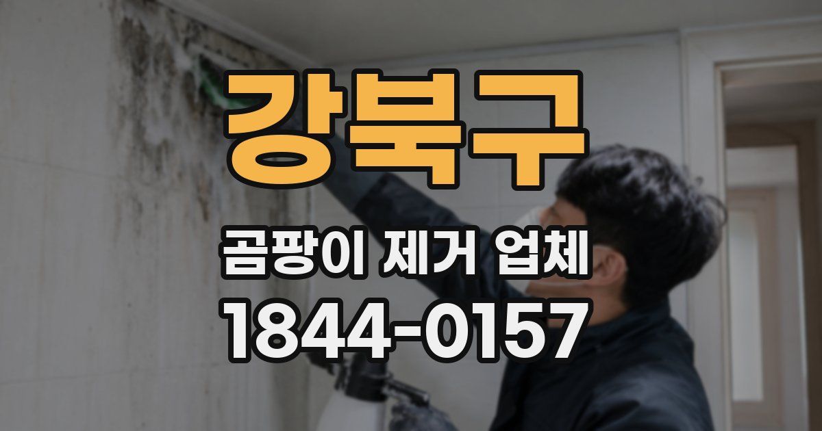 강북구 곰팡이 제거 업체