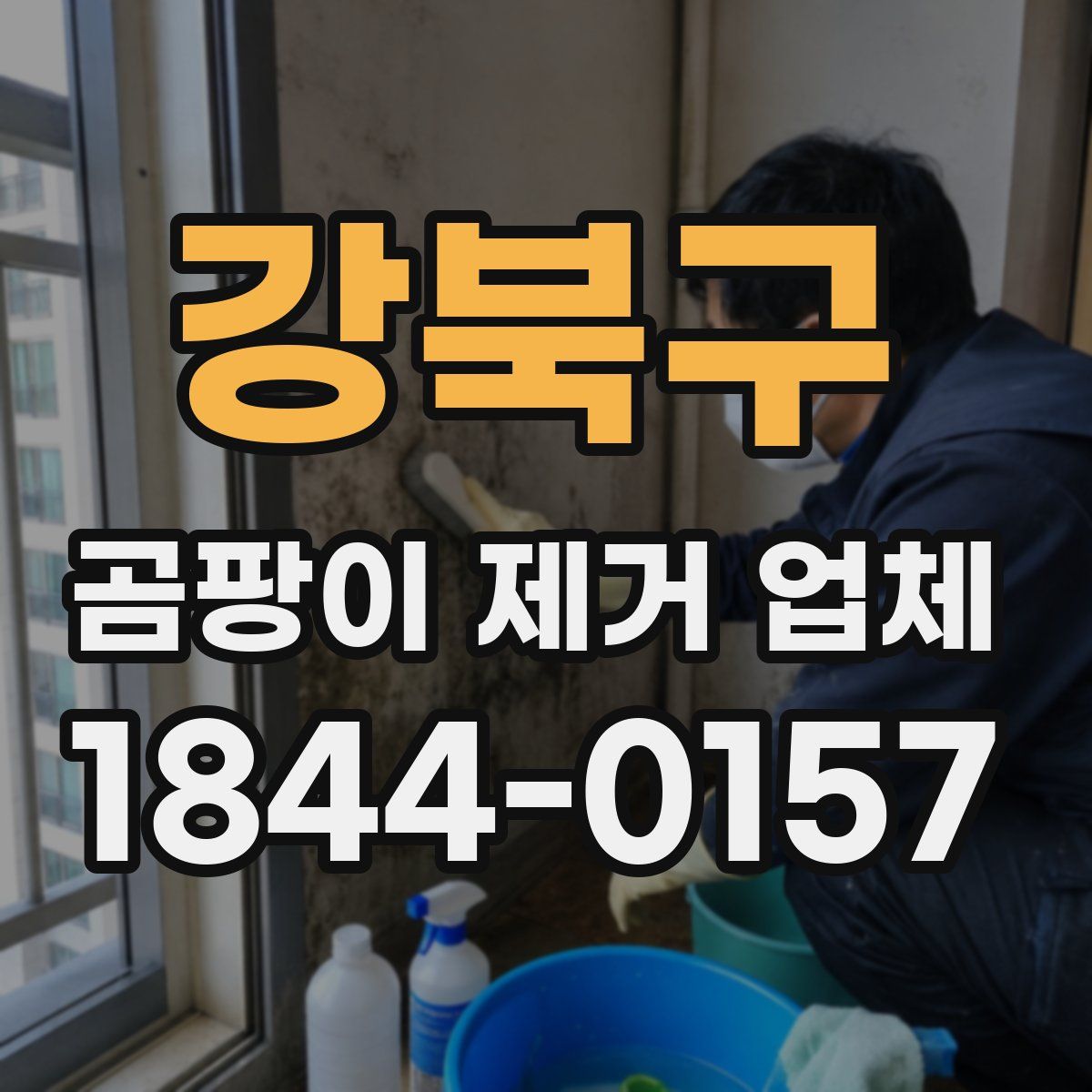 강북구 곰팡이 제거 업체