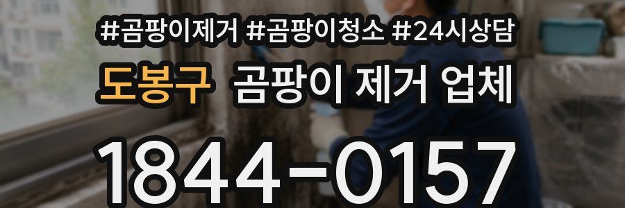 도봉구 곰팡이 제거 업체