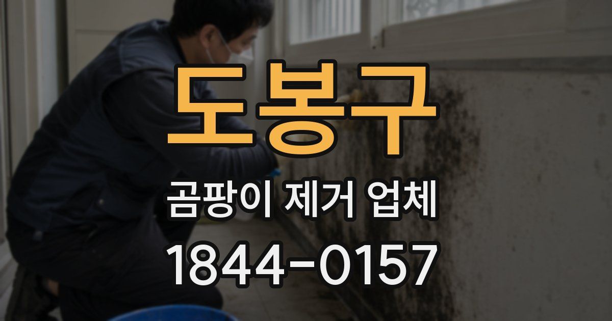 도봉구 곰팡이 제거 업체