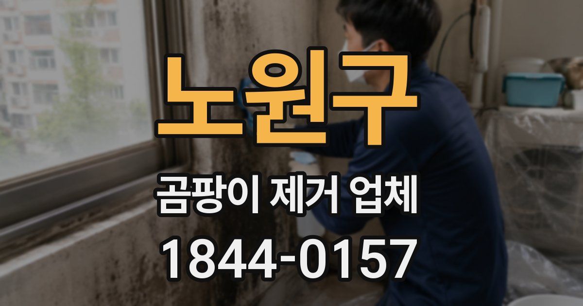 노원구 곰팡이 제거 업체