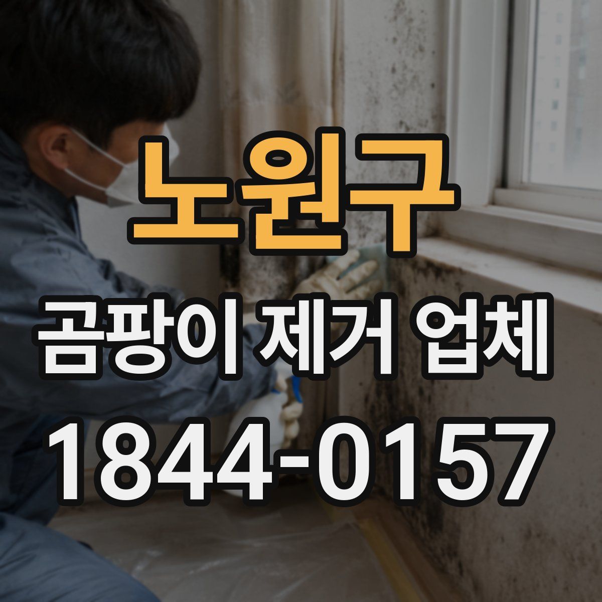노원구 곰팡이 제거 업체