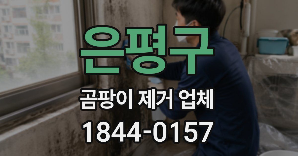 은평구 곰팡이 제거 업체