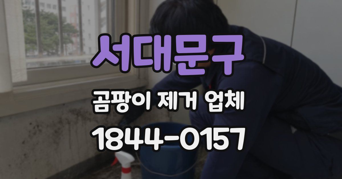 서대문구 곰팡이 제거 업체