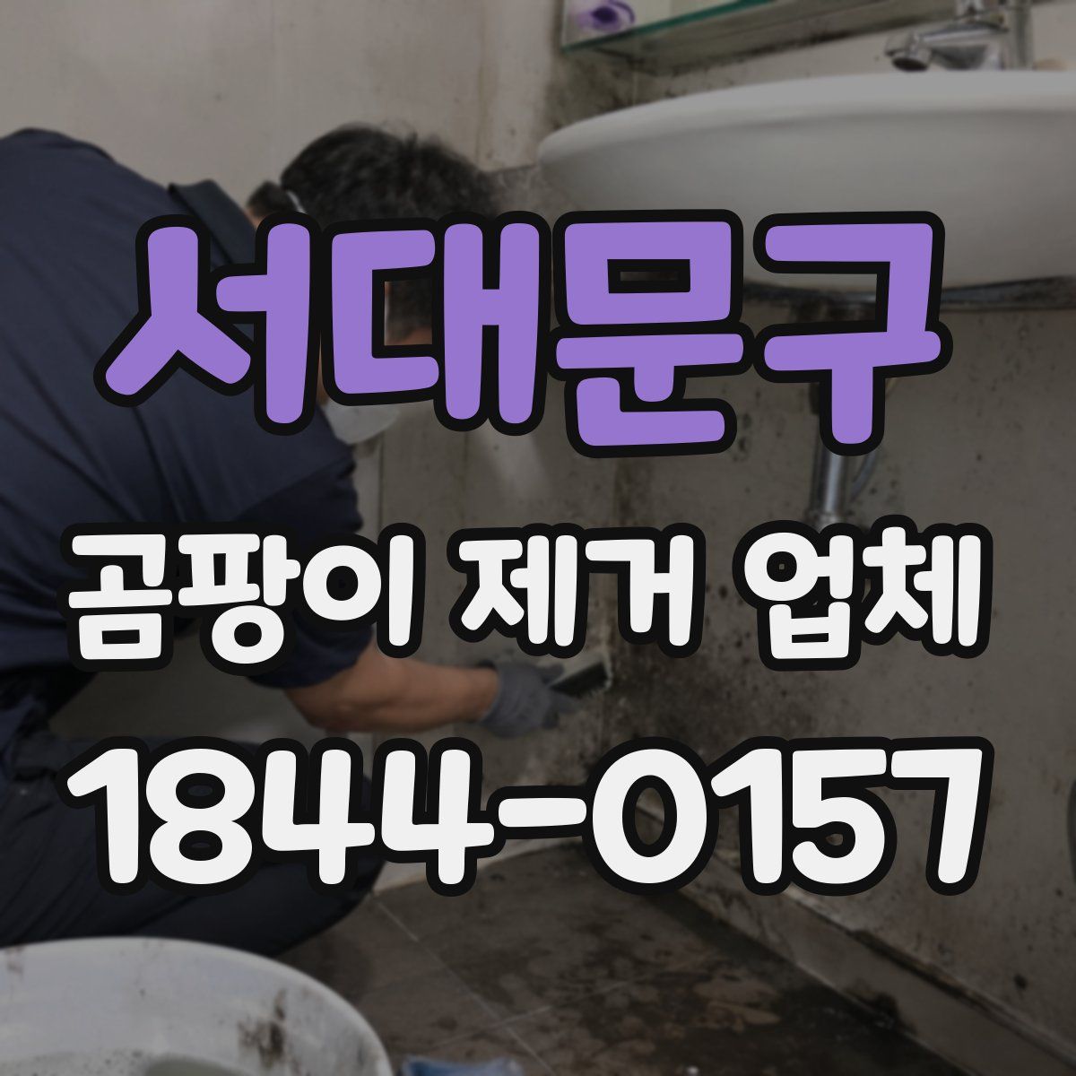 서대문구 곰팡이 제거 업체
