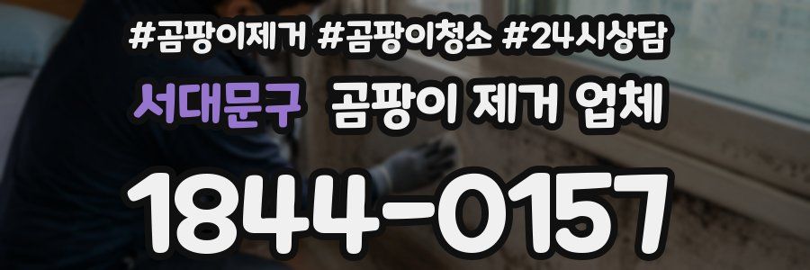 서대문구 곰팡이 제거 업체