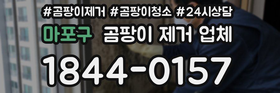 마포구 곰팡이 제거 업체