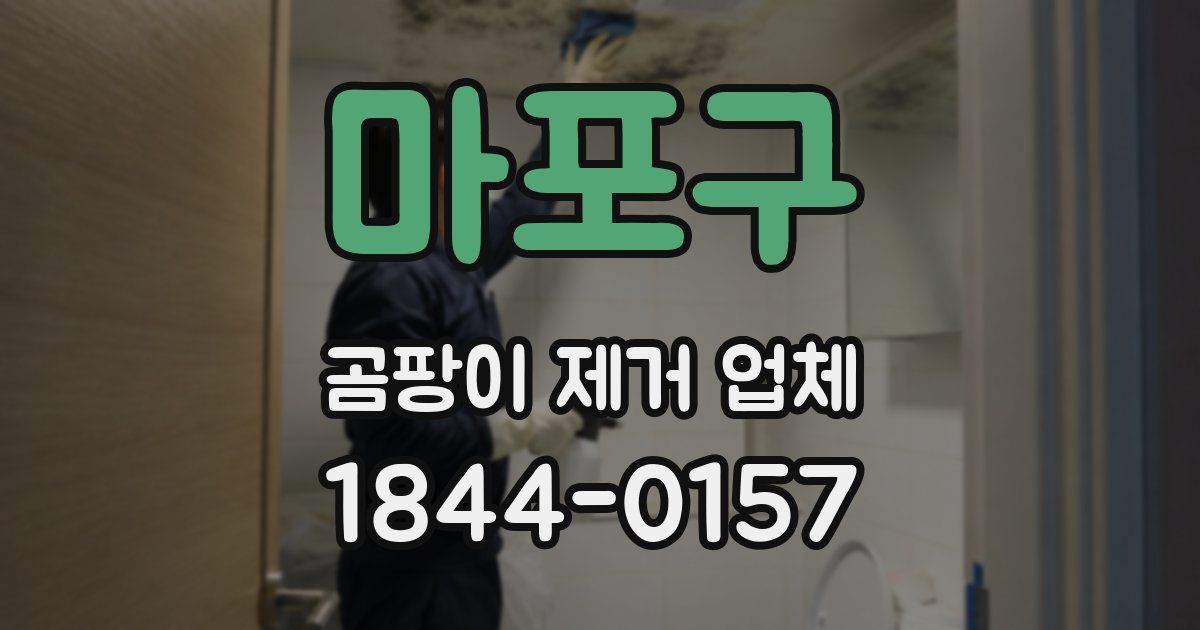 마포구 곰팡이 제거 업체