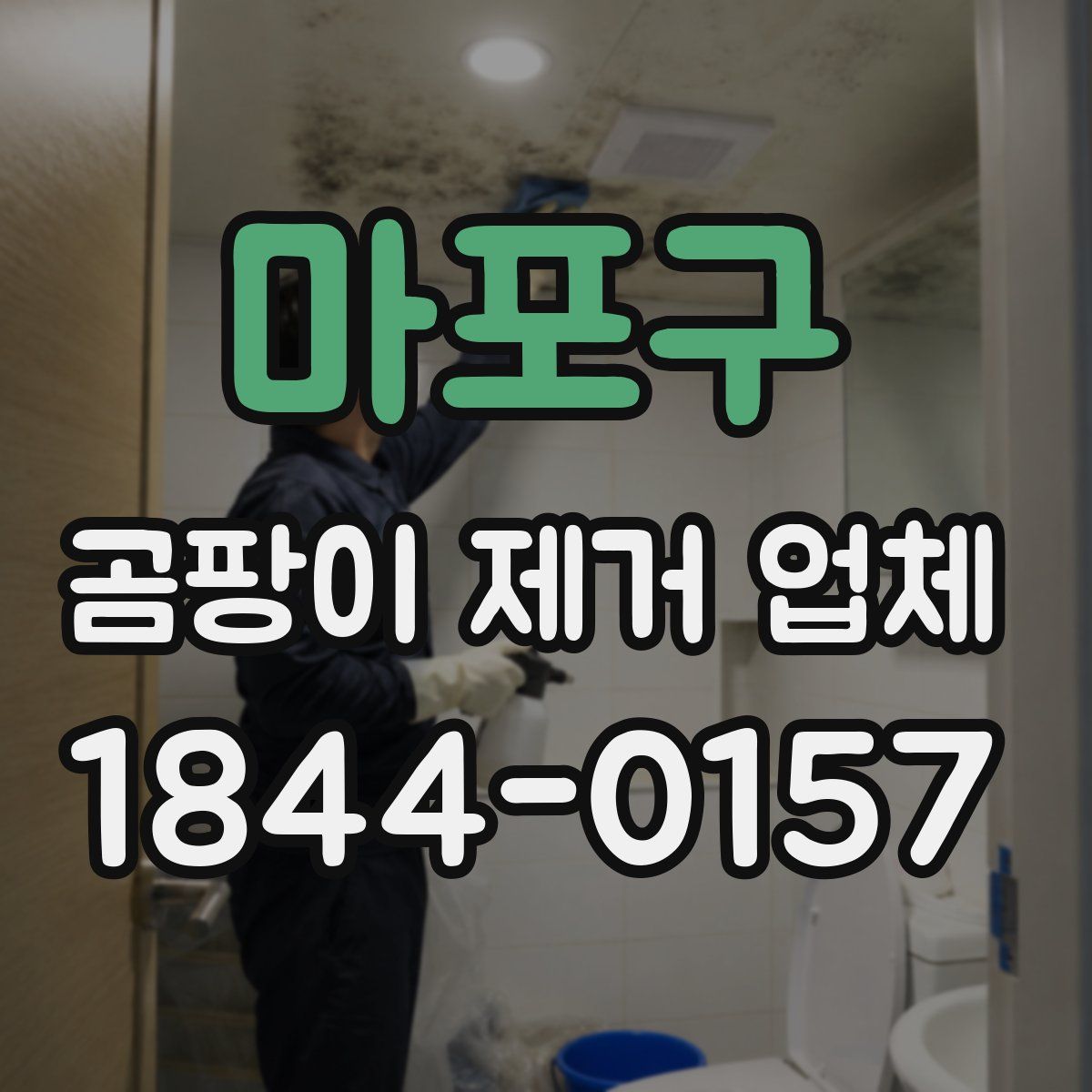 마포구 곰팡이 제거 업체