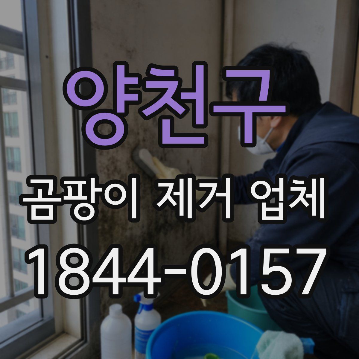 양천구 곰팡이 제거 업체