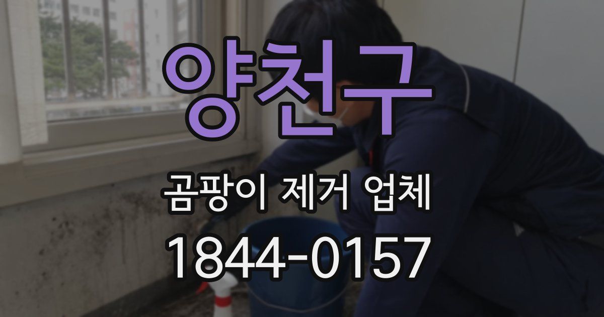 양천구 곰팡이 제거 업체