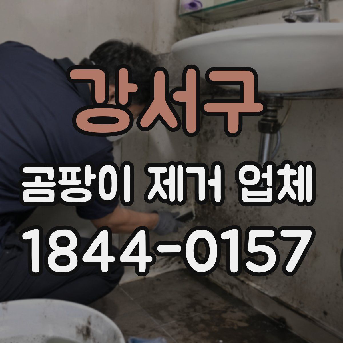 강서구 곰팡이 제거 업체