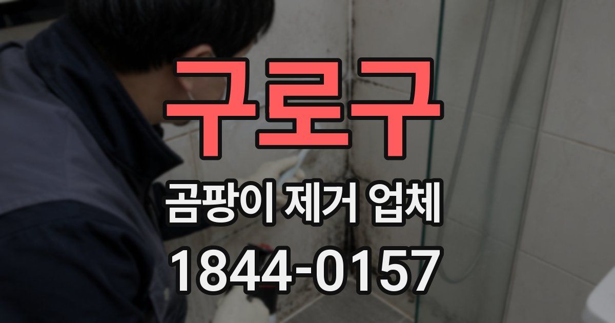 구로구 곰팡이 제거 업체