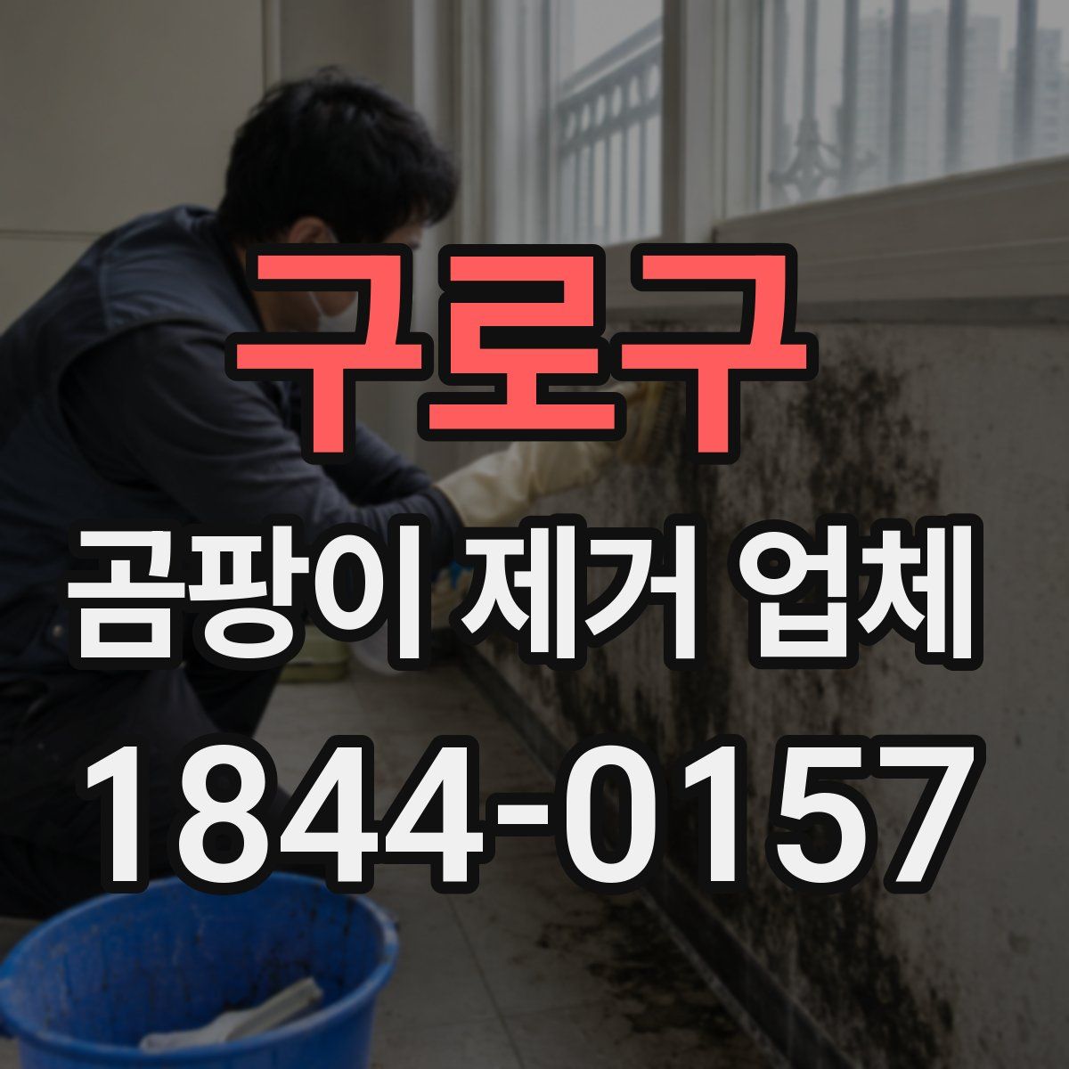 구로구 곰팡이 제거 업체