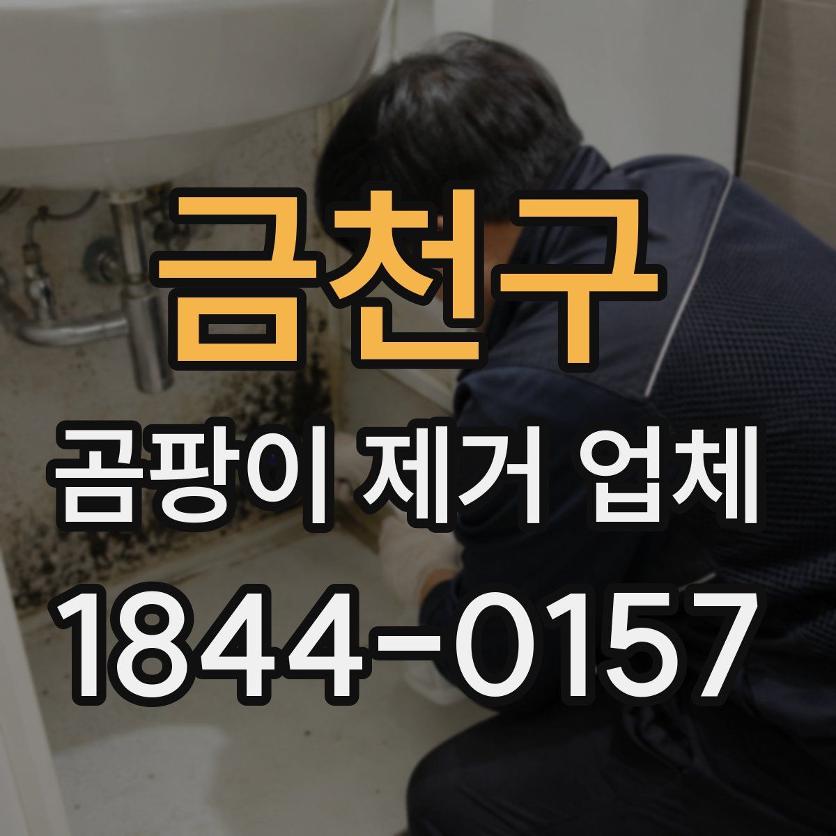 금천구 곰팡이 제거 업체