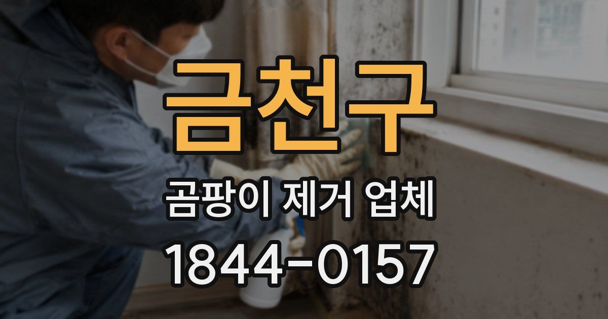금천구 곰팡이 제거 업체