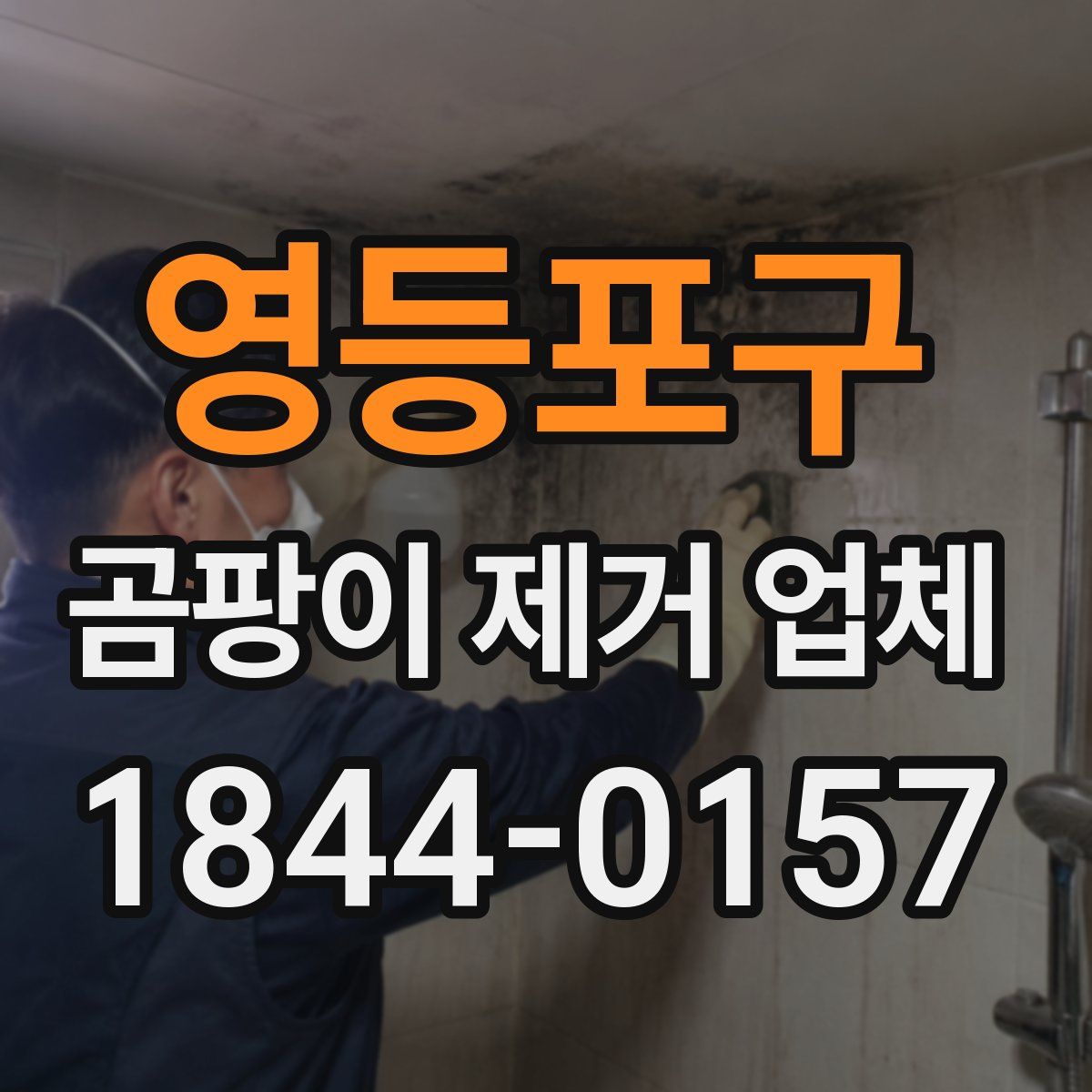 영등포구 곰팡이 제거 업체