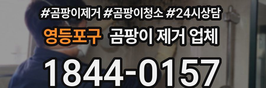 영등포구 곰팡이 제거 업체