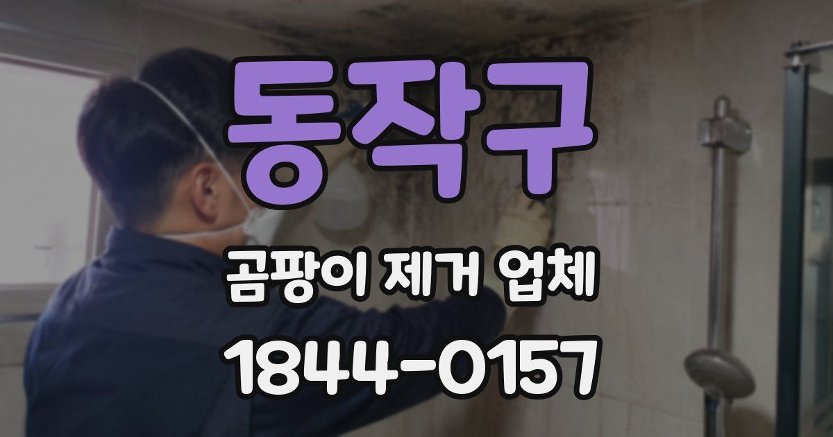 동작구 곰팡이 제거 업체