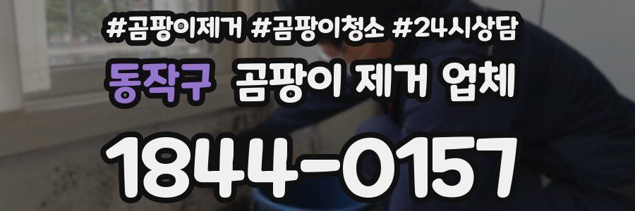 동작구 곰팡이 제거 업체