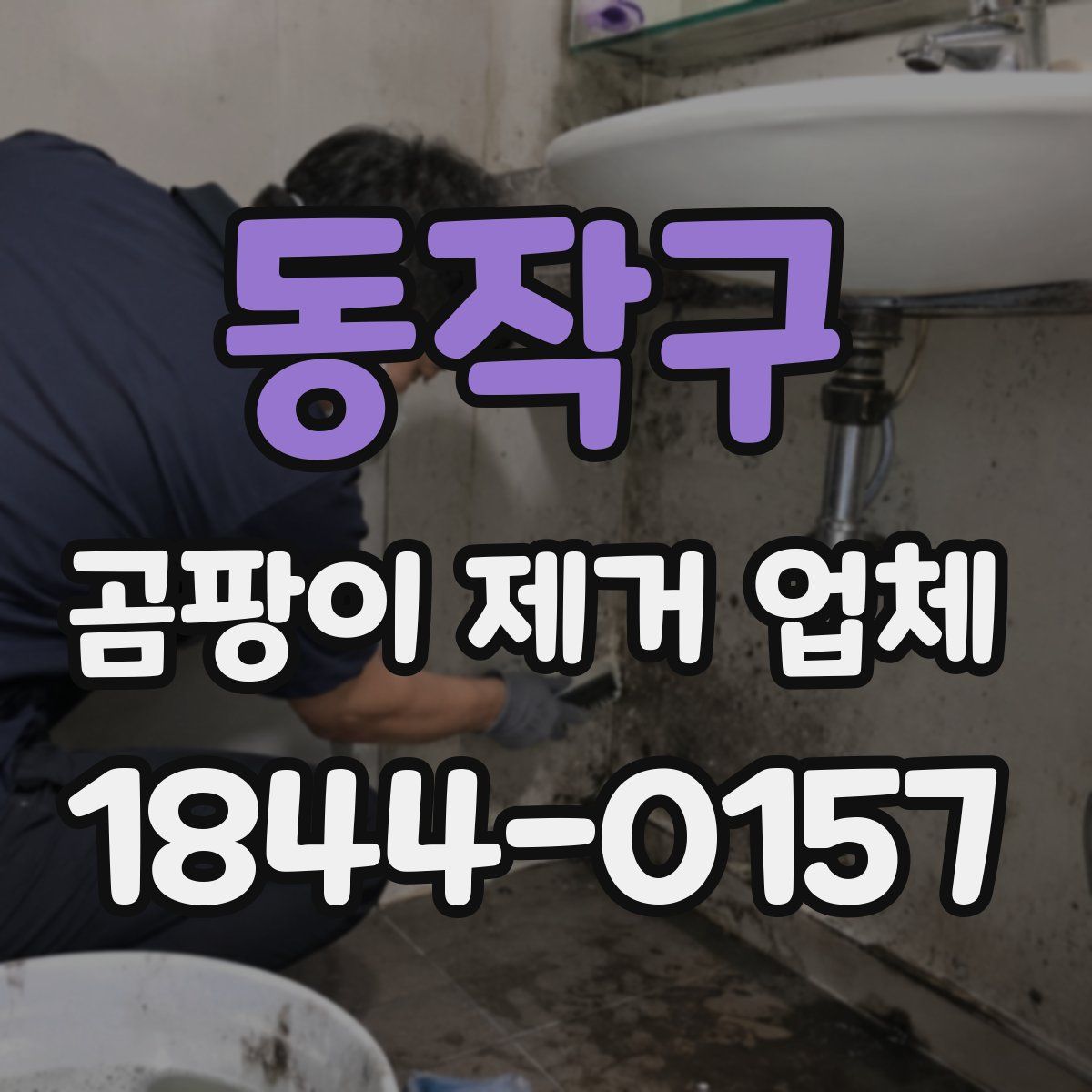동작구 곰팡이 제거 업체