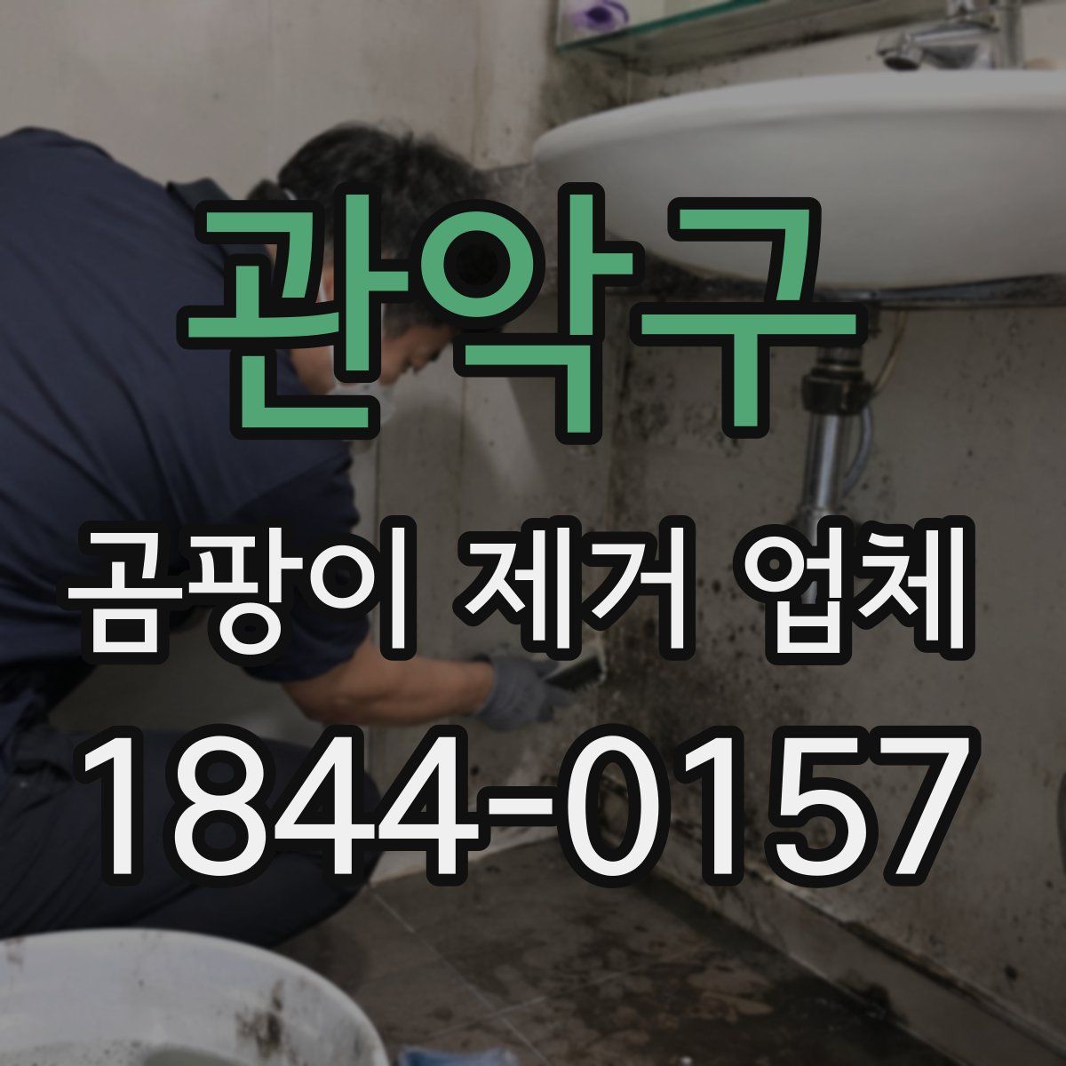 관악구 곰팡이 제거 업체