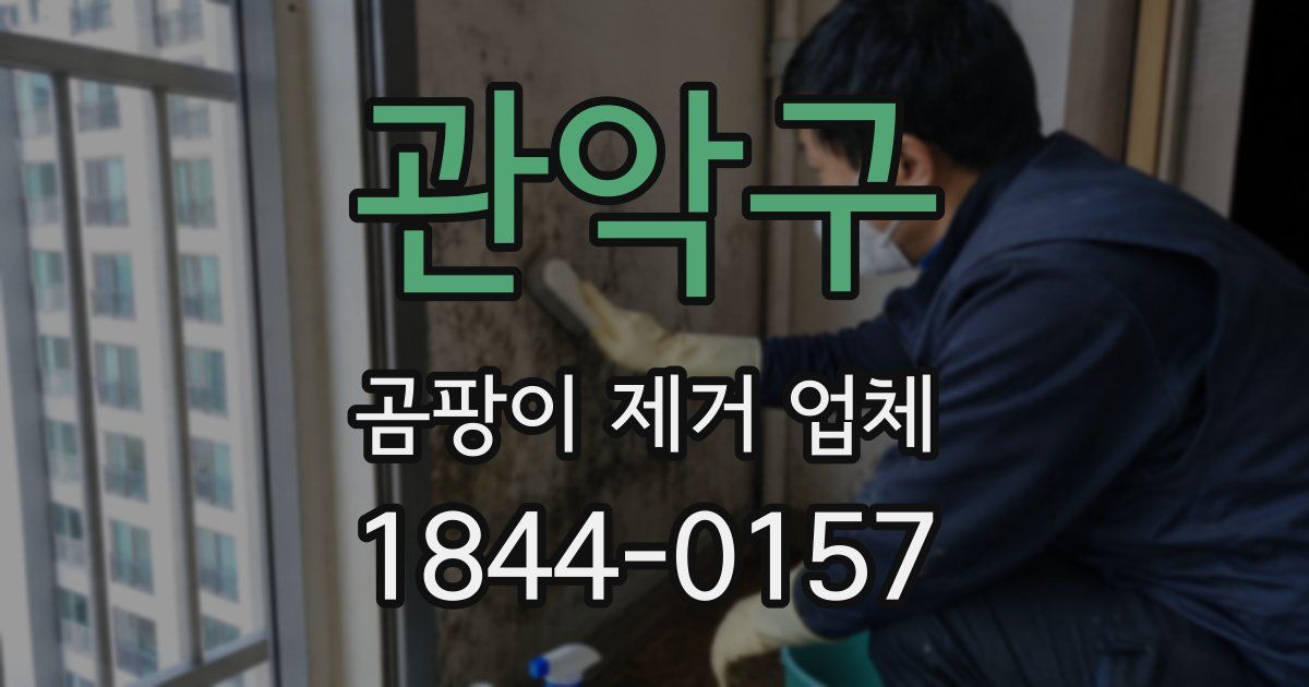 관악구 곰팡이 제거 업체