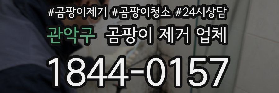 관악구 곰팡이 제거 업체